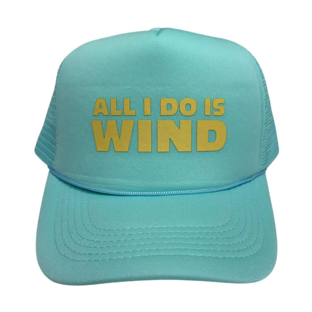 All I Do Is Wind Hat