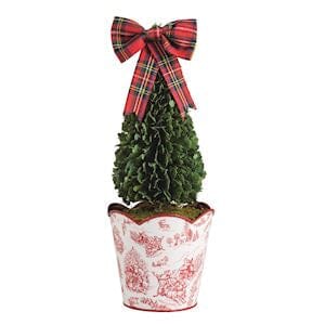 Large Toile Boxwood Topiary The Happy Southerner