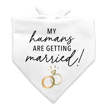 Pet Bridal Bandana The Happy Southerner