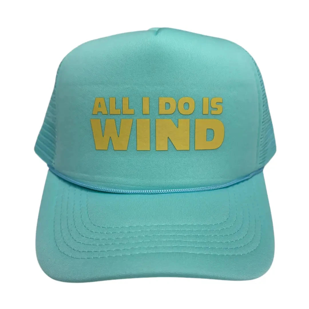 All I Do Is Wind Hat The Happy Southerner 