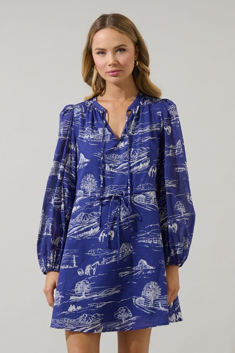 Avon Town Mini Dress The Happy Southerner 